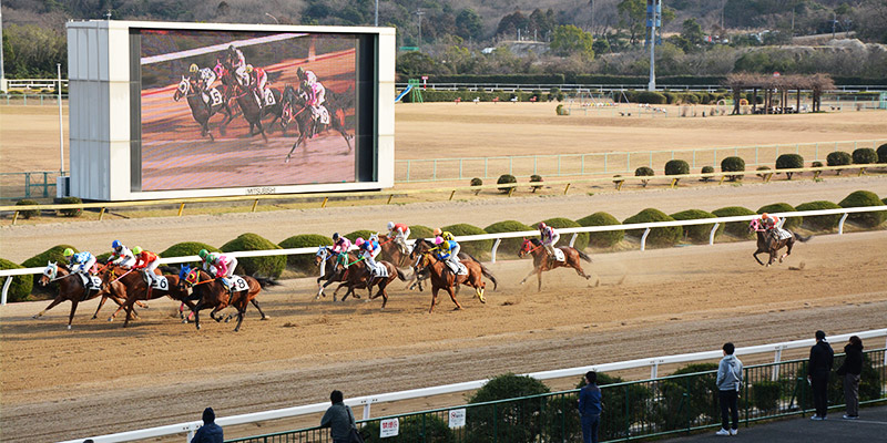 佐賀競馬場
