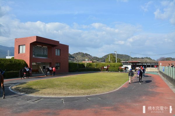佐賀競馬場 パドック