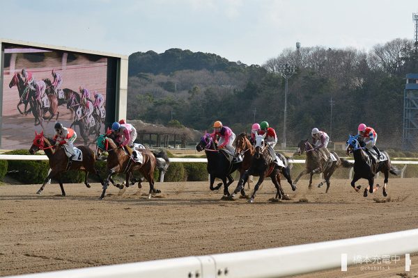 佐賀競馬場