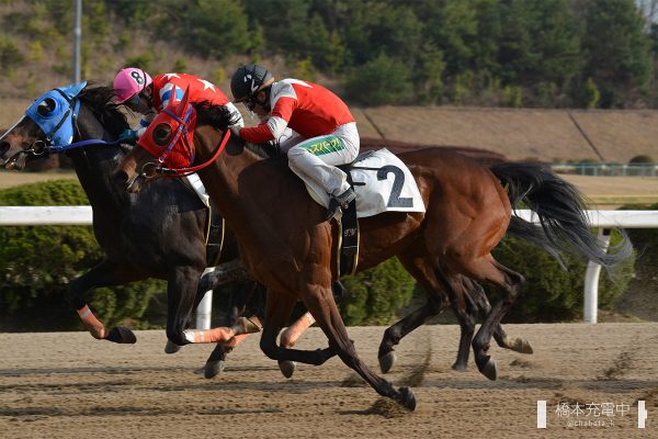 佐賀競馬場