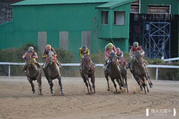佐賀競馬場