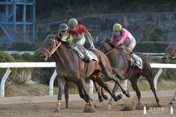 佐賀競馬場